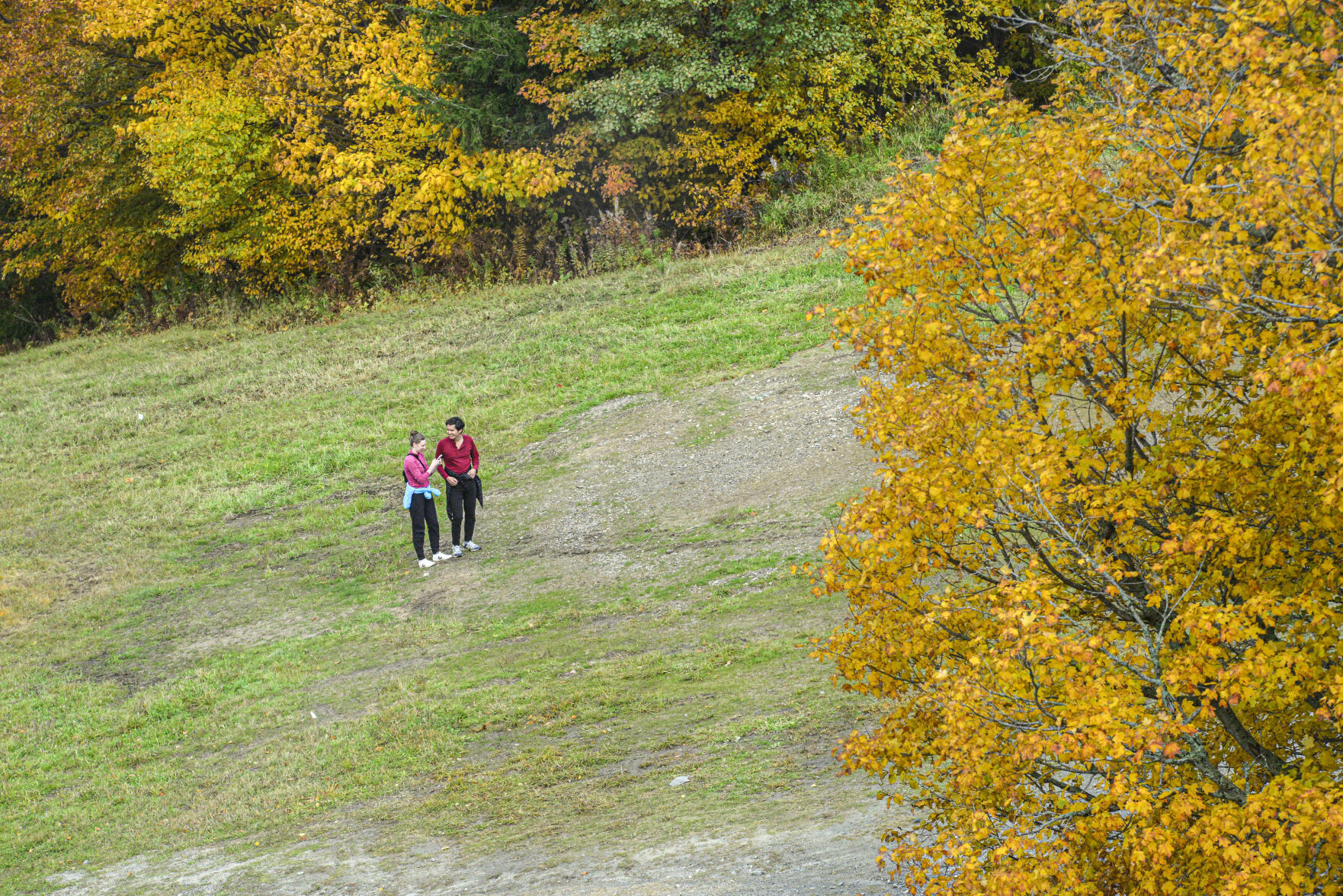 20221010-LEAF-RADDER-19.jpg